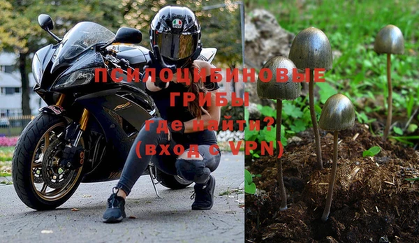 прущие крисы Абинск