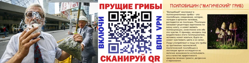 Галлюциногенные грибы ЛСД  Иноземцево 